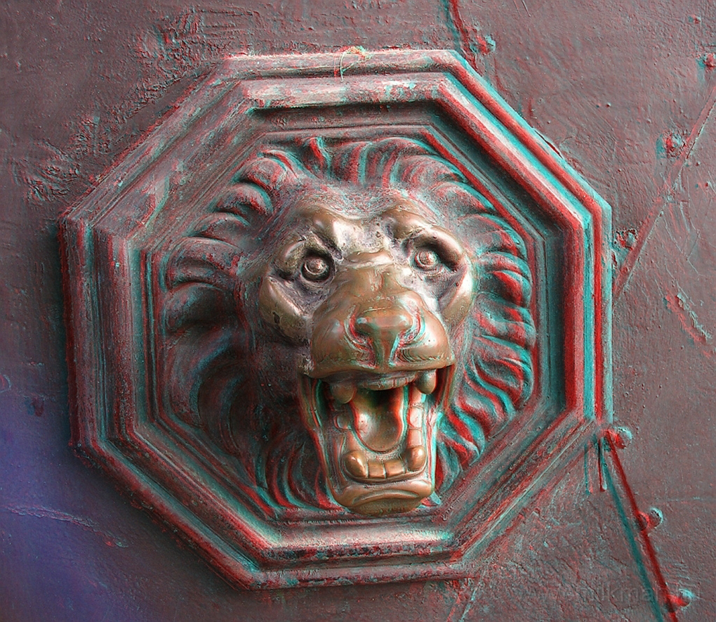 lion