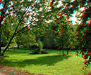 szilvas