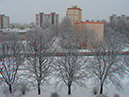 telitaj