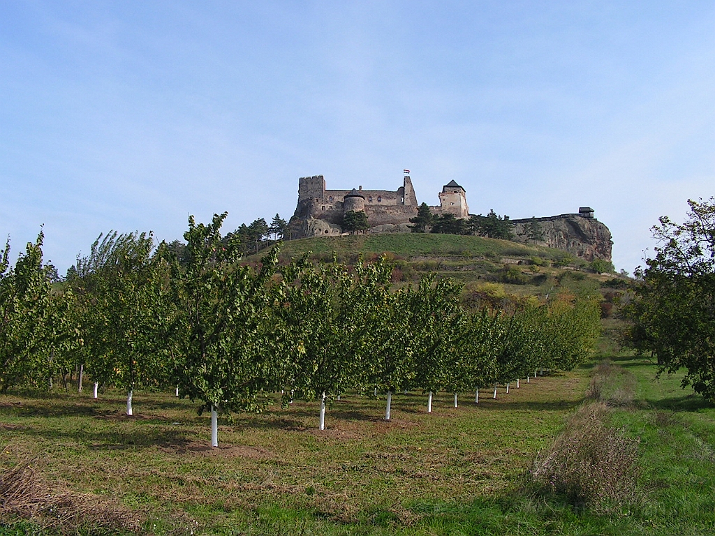 PICT5300.JPG