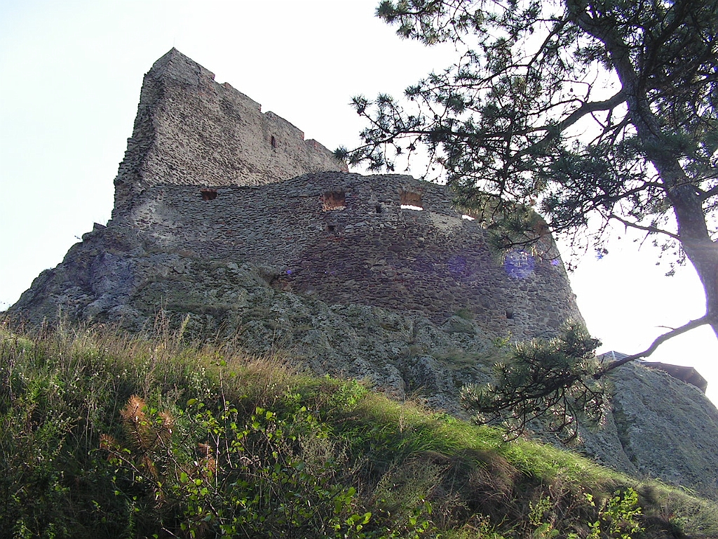 PICT5307.JPG