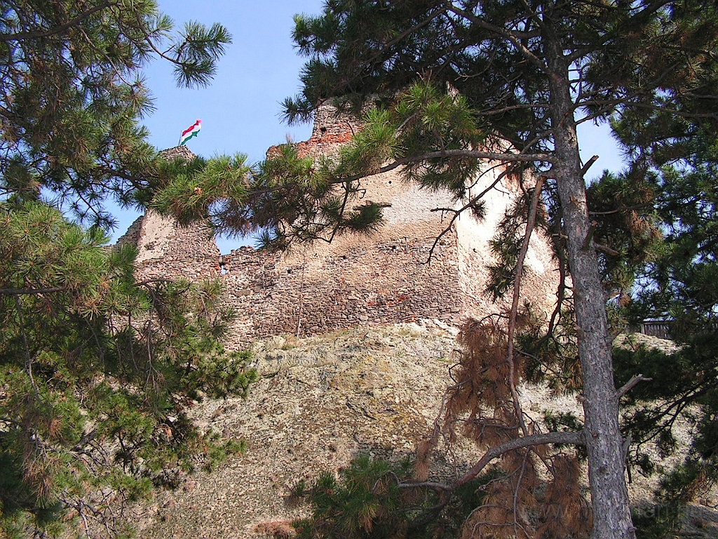 PICT5316.JPG