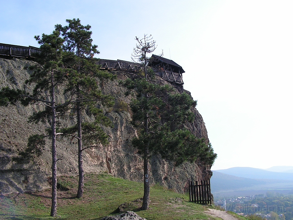 PICT5317.JPG