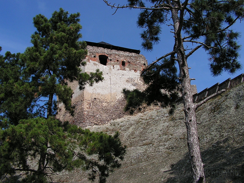 PICT5322.JPG