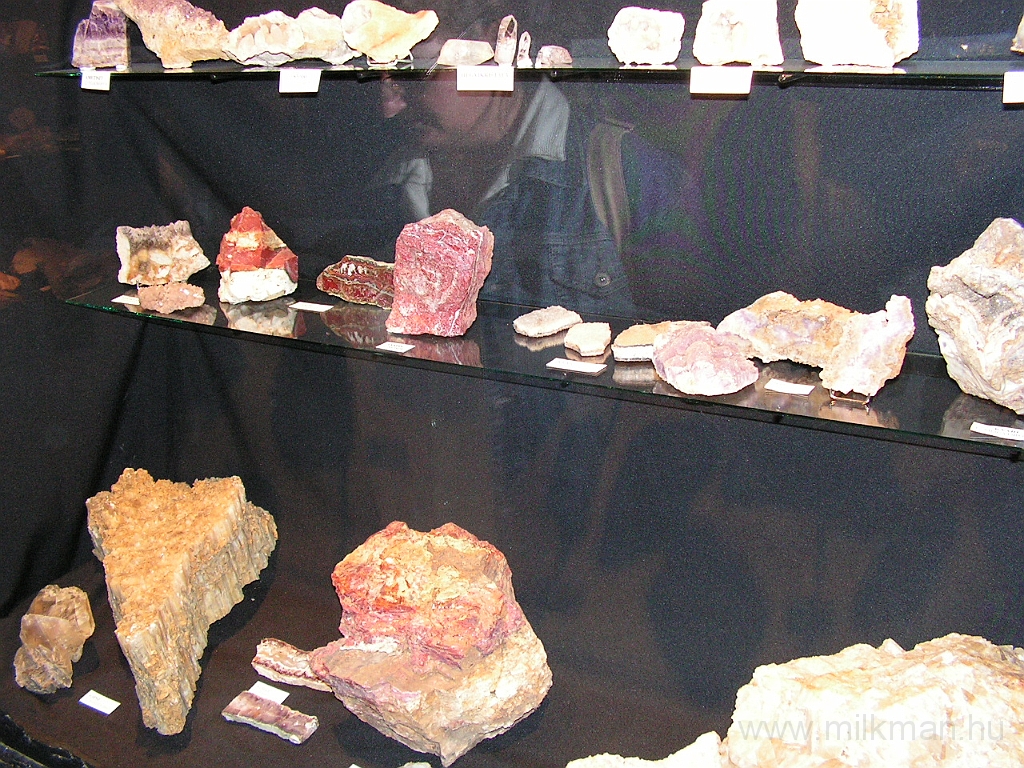 PICT5388.JPG