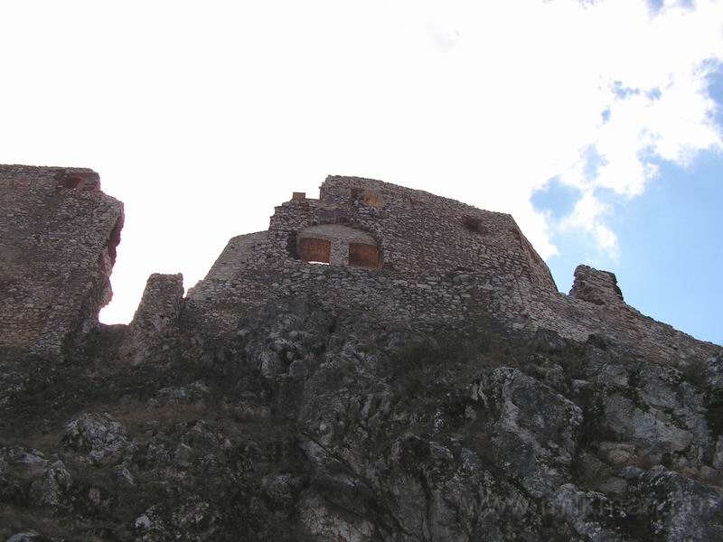 Resize_of_PICT5760.JPG