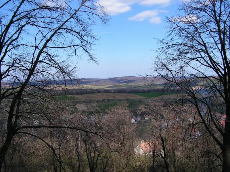 Resize_of_PICT5761.JPG