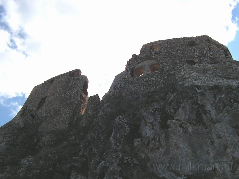 Resize_of_PICT5766.JPG
