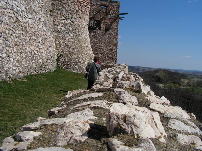 Resize_of_PICT5945.JPG