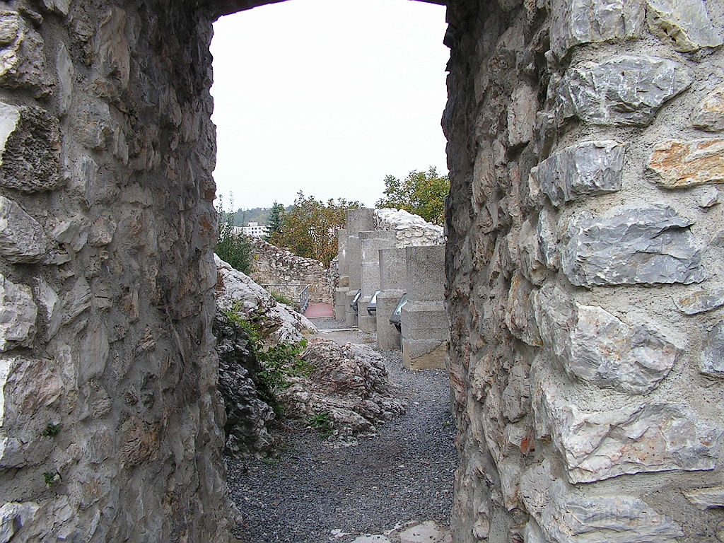 PICT4919.JPG