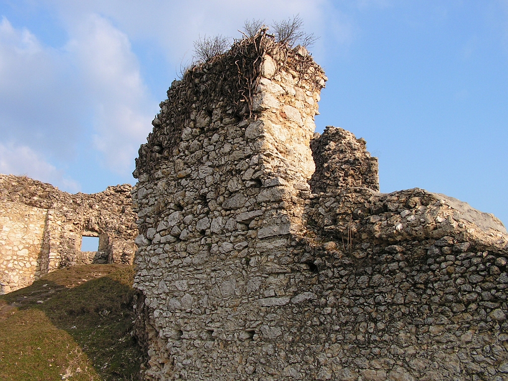 PICT0202.JPG