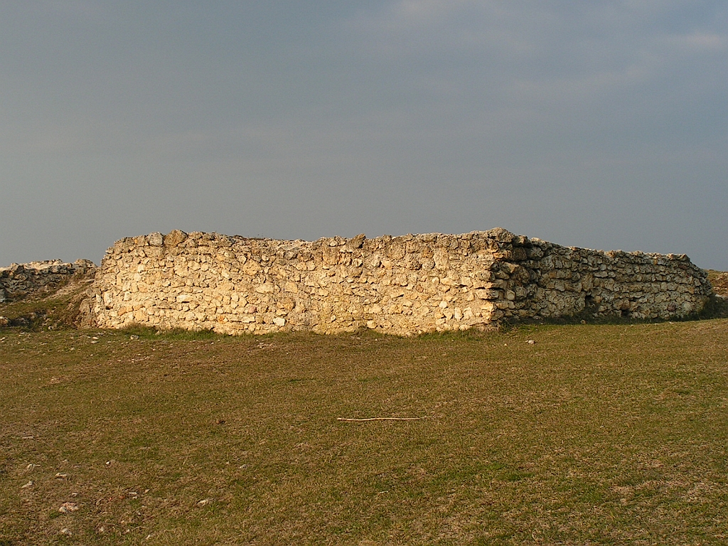 PICT0205.JPG