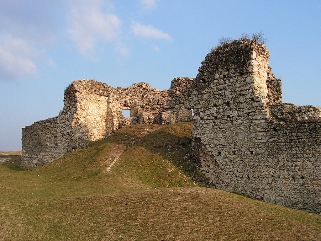 PICT0206.JPG