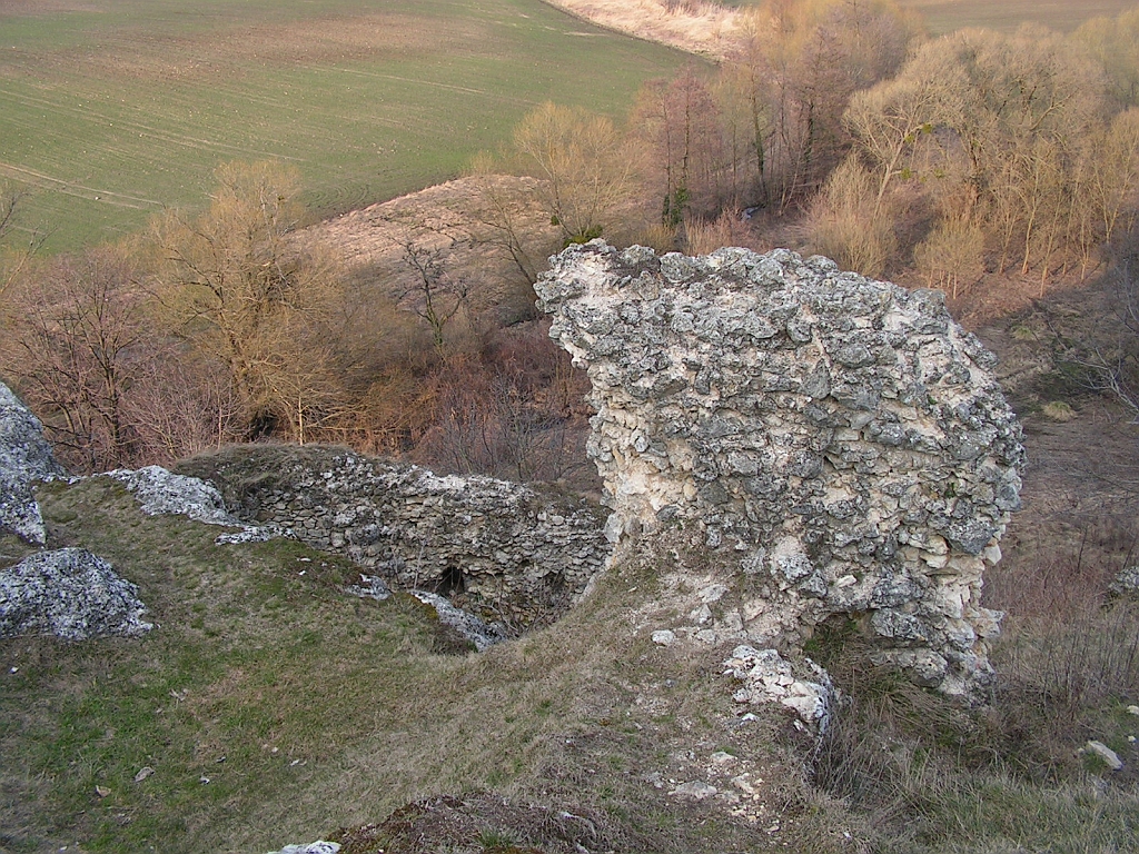 PICT0214.JPG