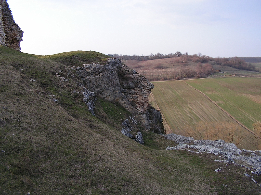 PICT0215.JPG