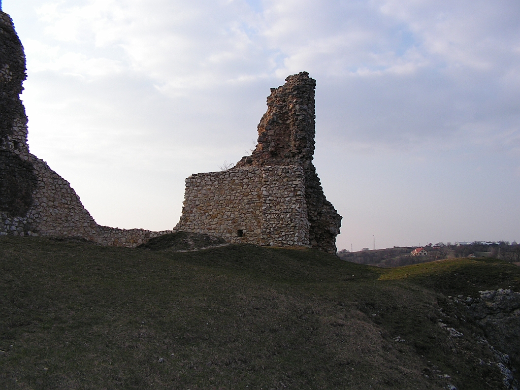 PICT0217.JPG