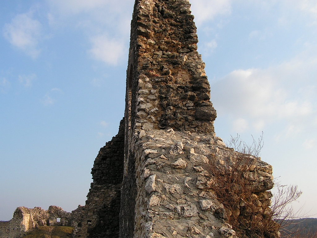 PICT0229.JPG