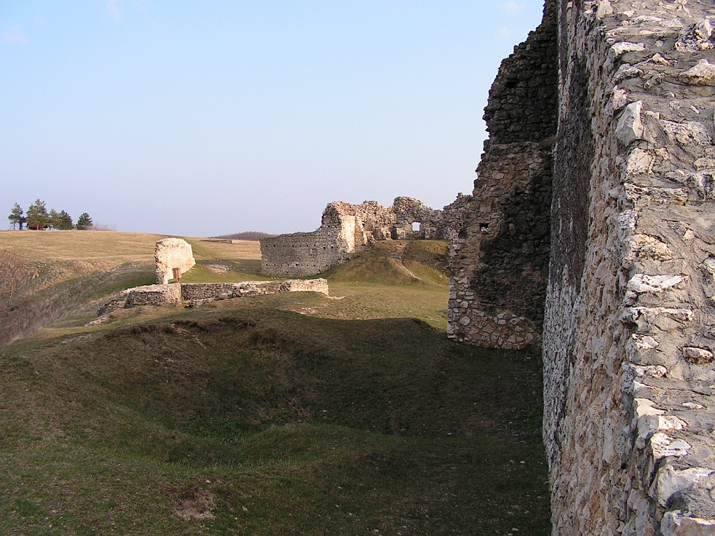 PICT0230.JPG