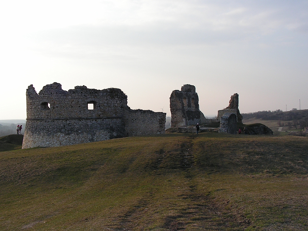 PICT0270.JPG