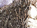 PICT0203