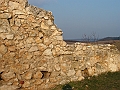 PICT0256