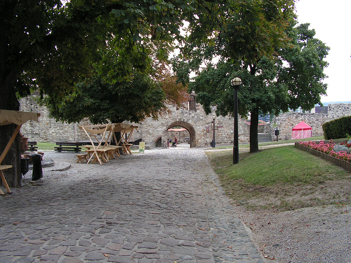PICT0010