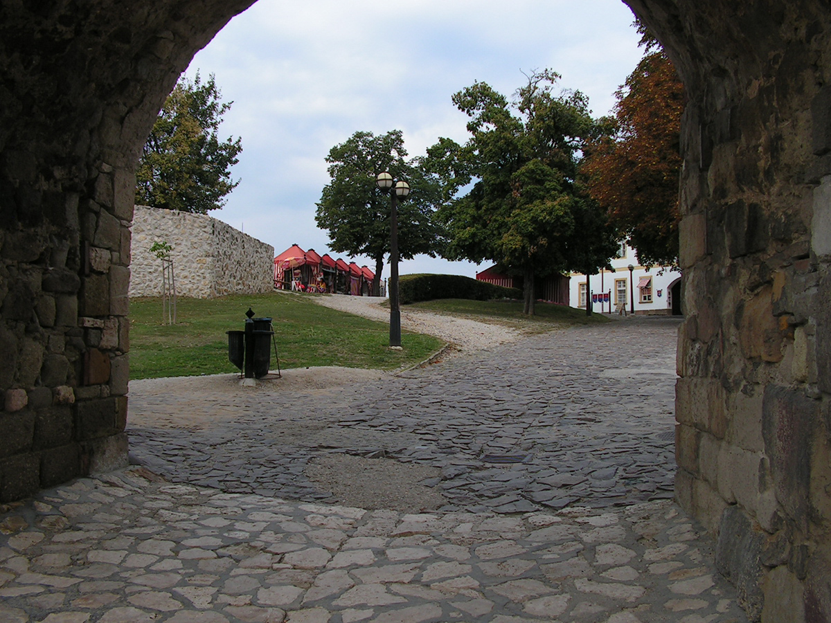 PICT0260