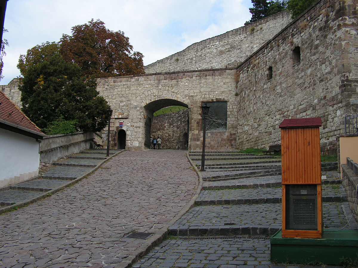 PICT0239