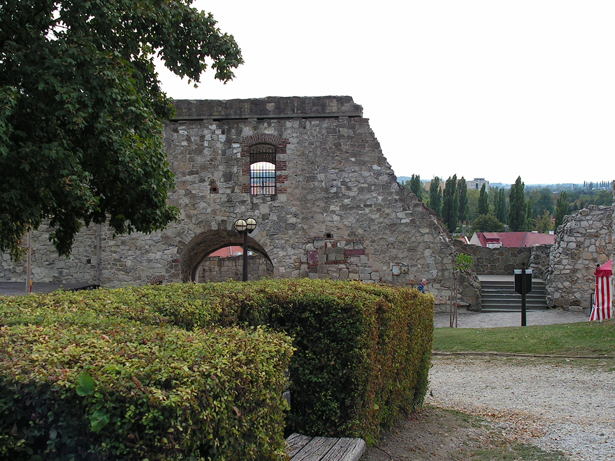 PICT0006