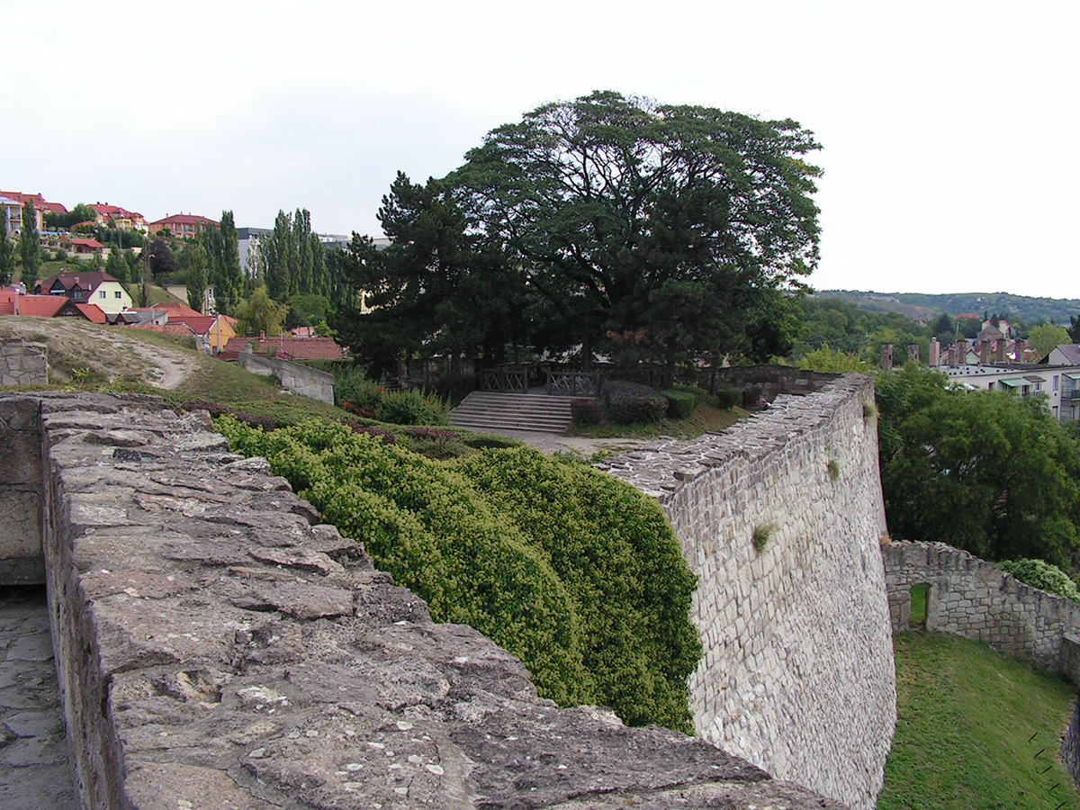 PICT0290