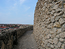 PICT0316