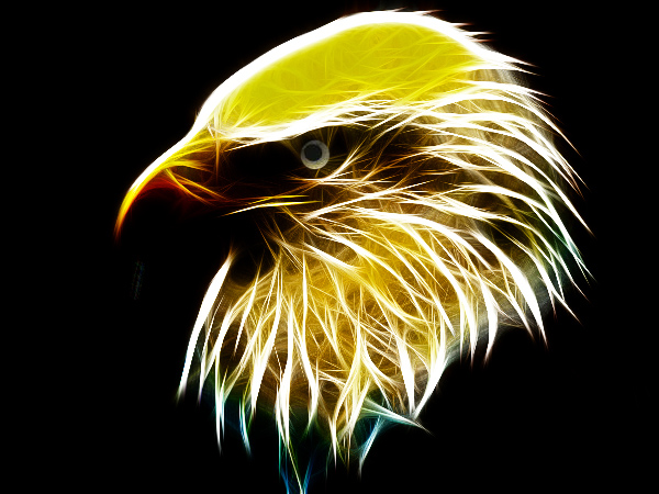 eagle2