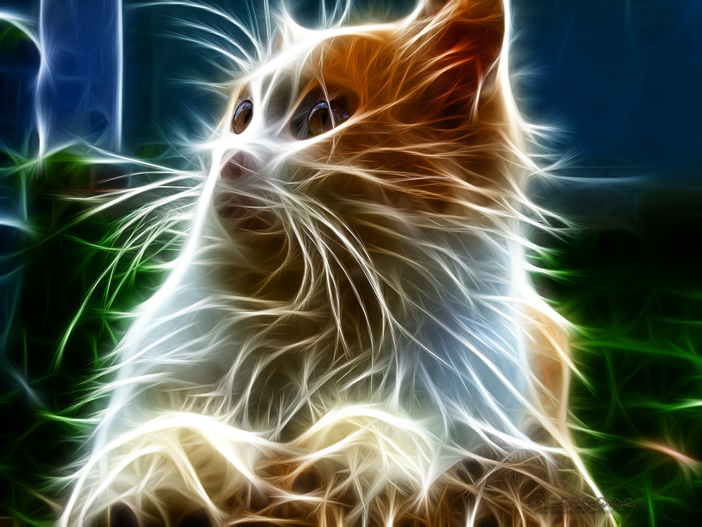 catm
