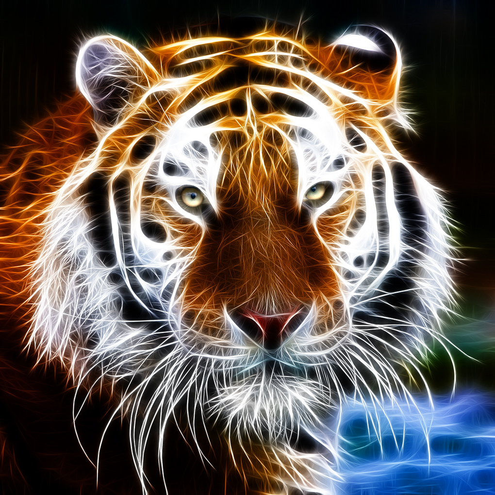 tig