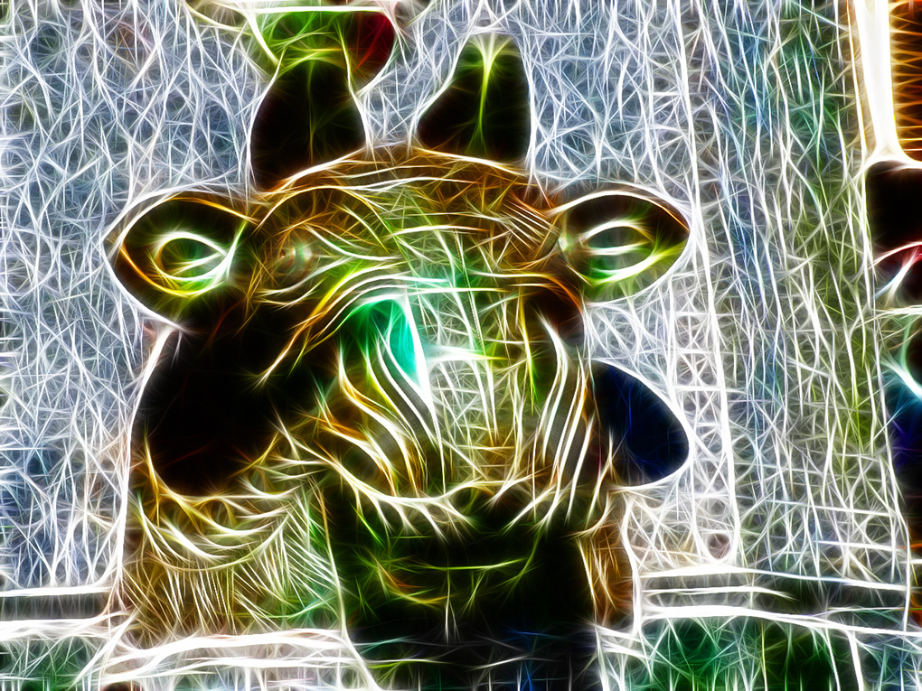 zsk