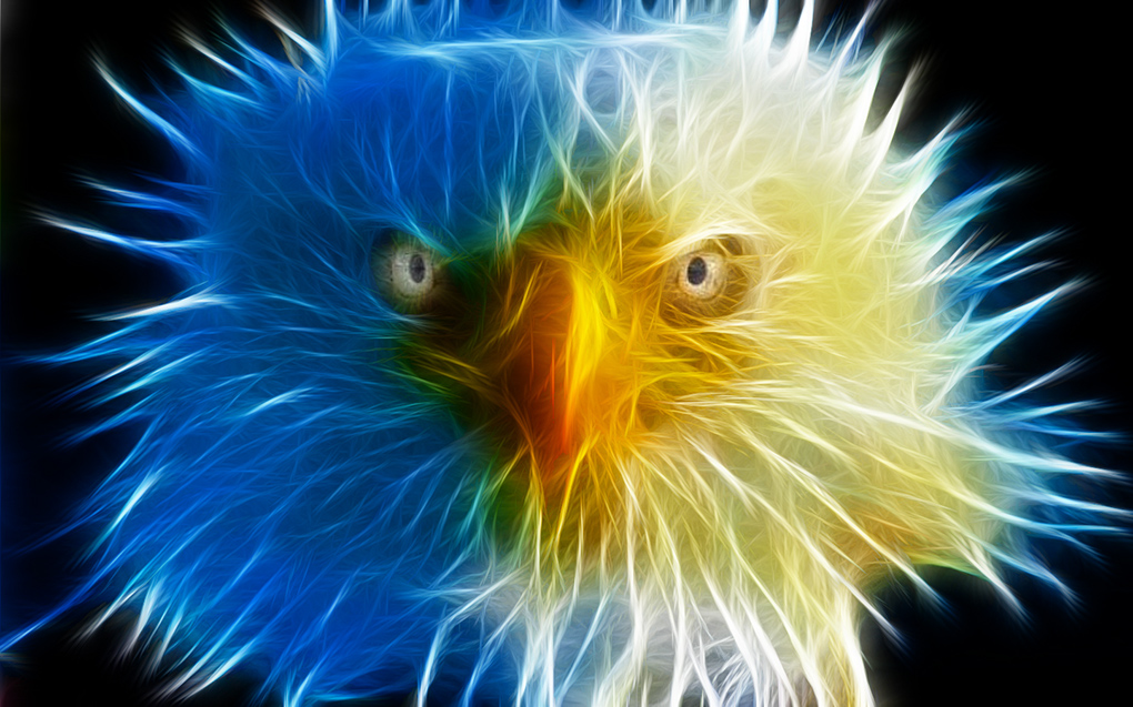 eagle