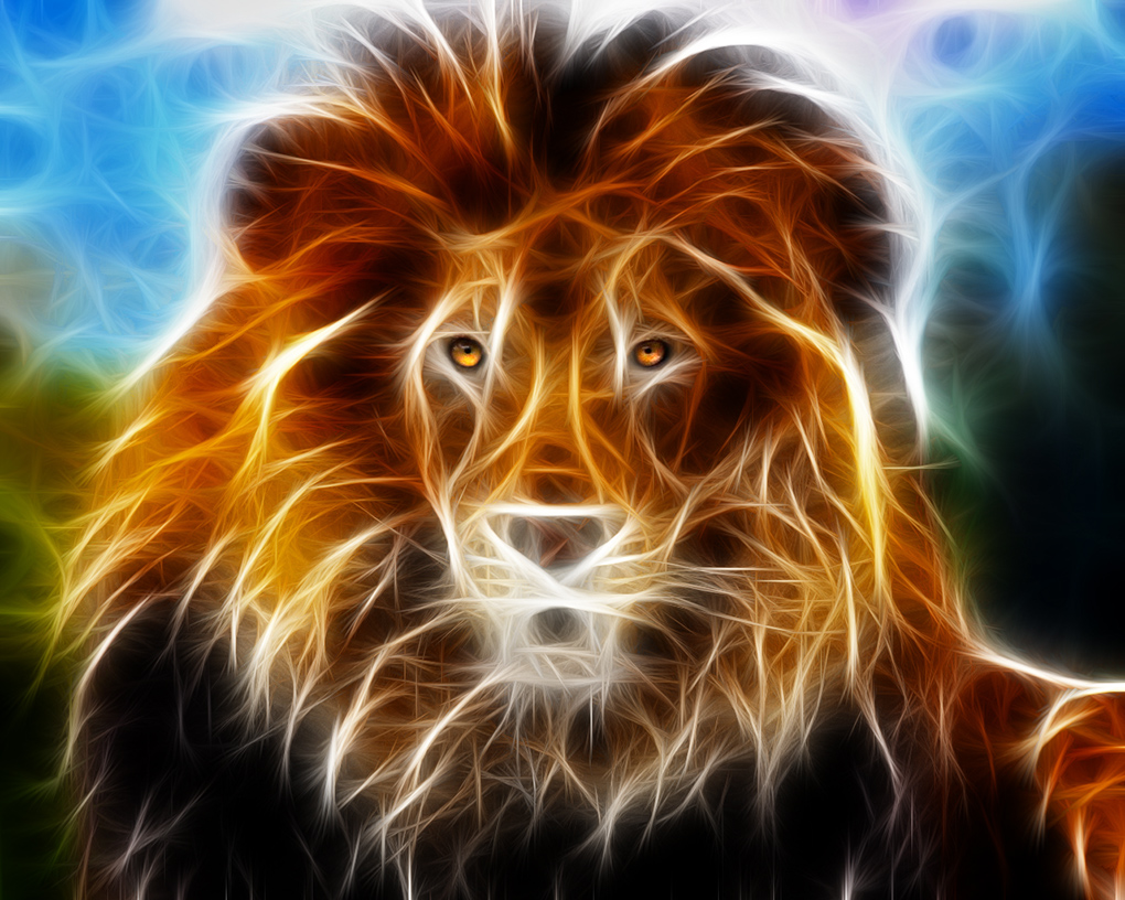 lion