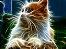 catm