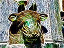 zsk