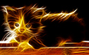 cat2