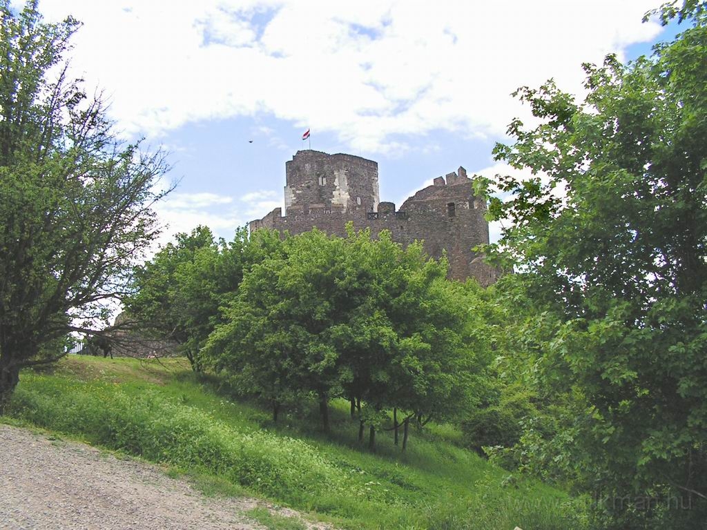 Resize_of_PICT6751.JPG