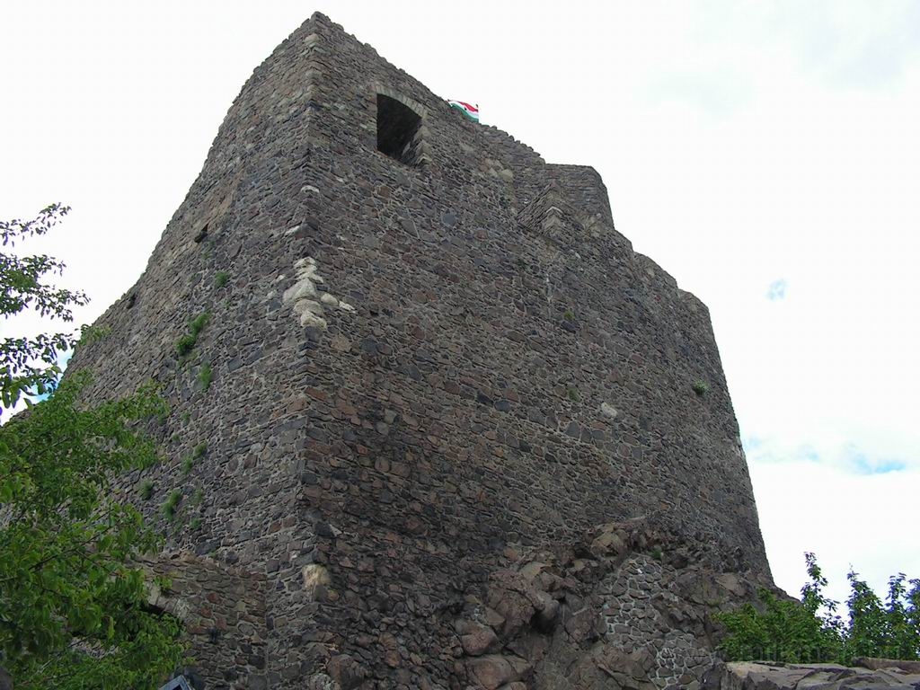 Resize_of_PICT6767.JPG