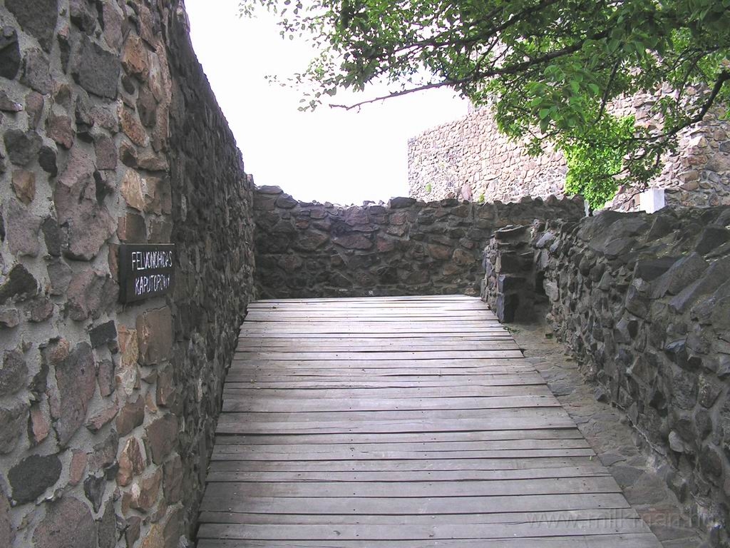 Resize_of_PICT6772.JPG