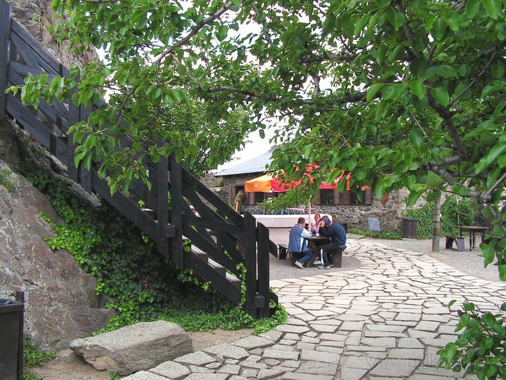 Resize_of_PICT6775.JPG