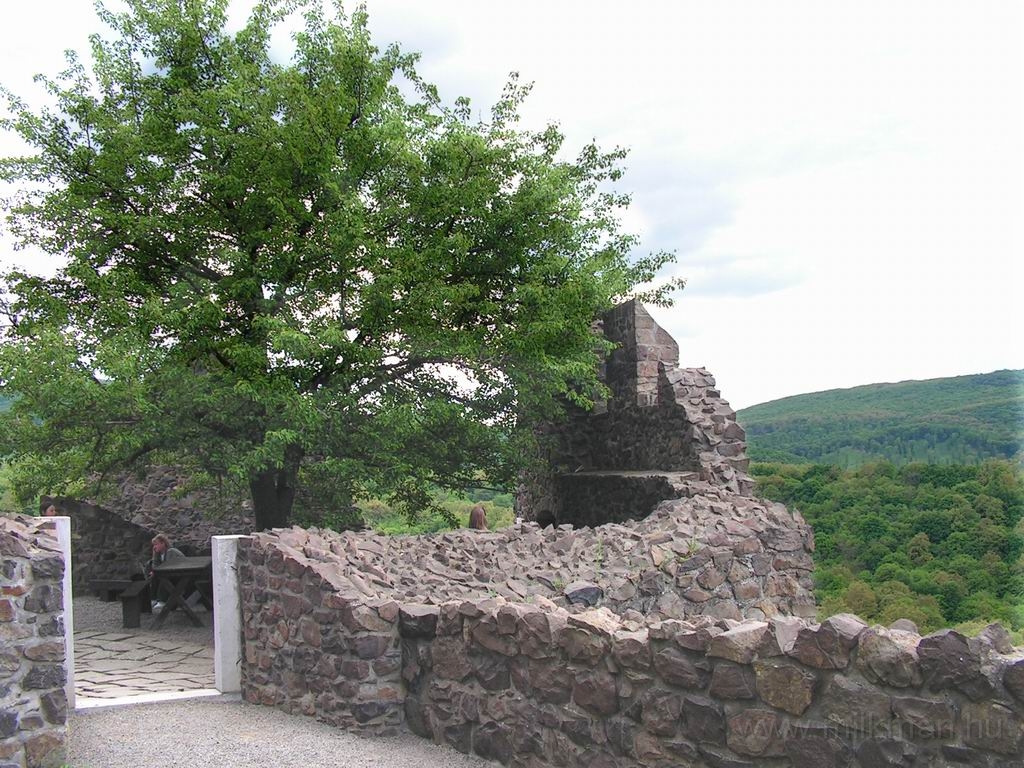 Resize_of_PICT6805.JPG