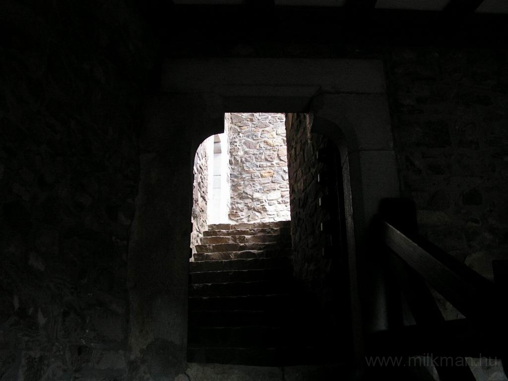 Resize_of_PICT6855.JPG