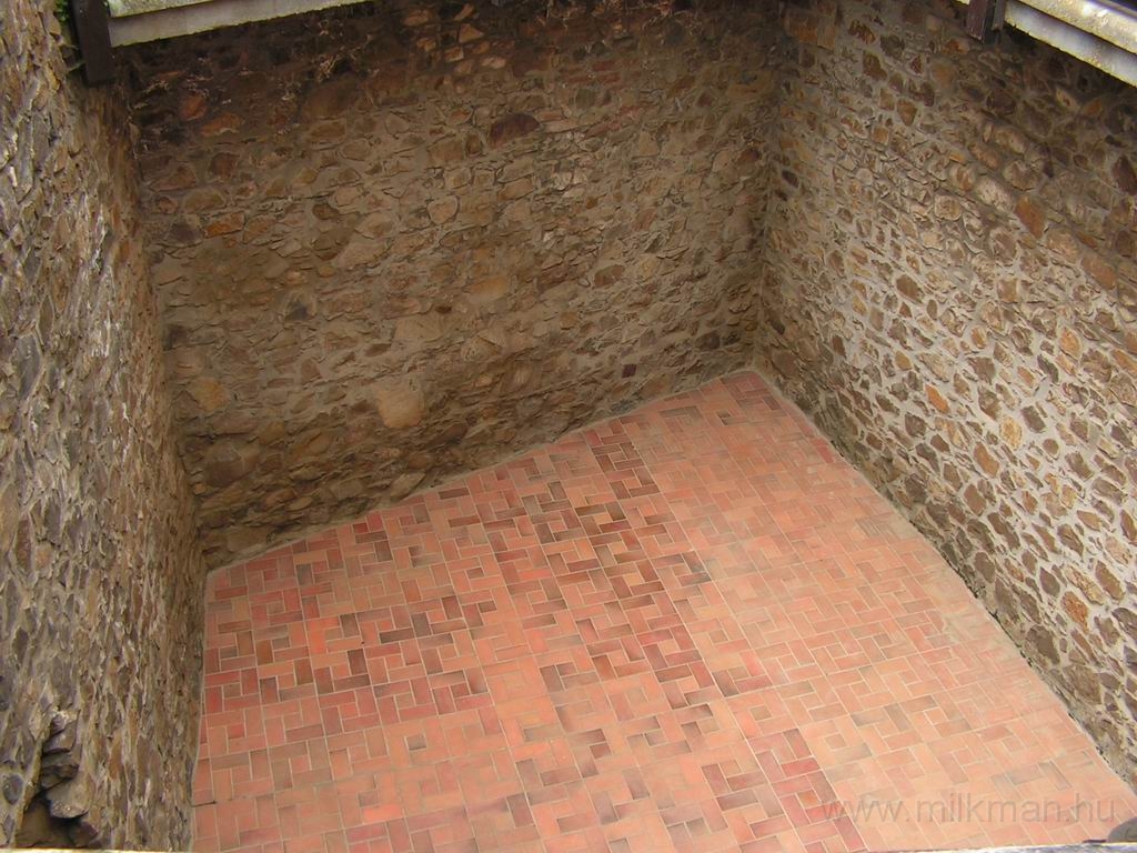Resize_of_PICT6880.JPG