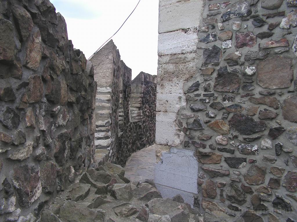 Resize_of_PICT6888.JPG