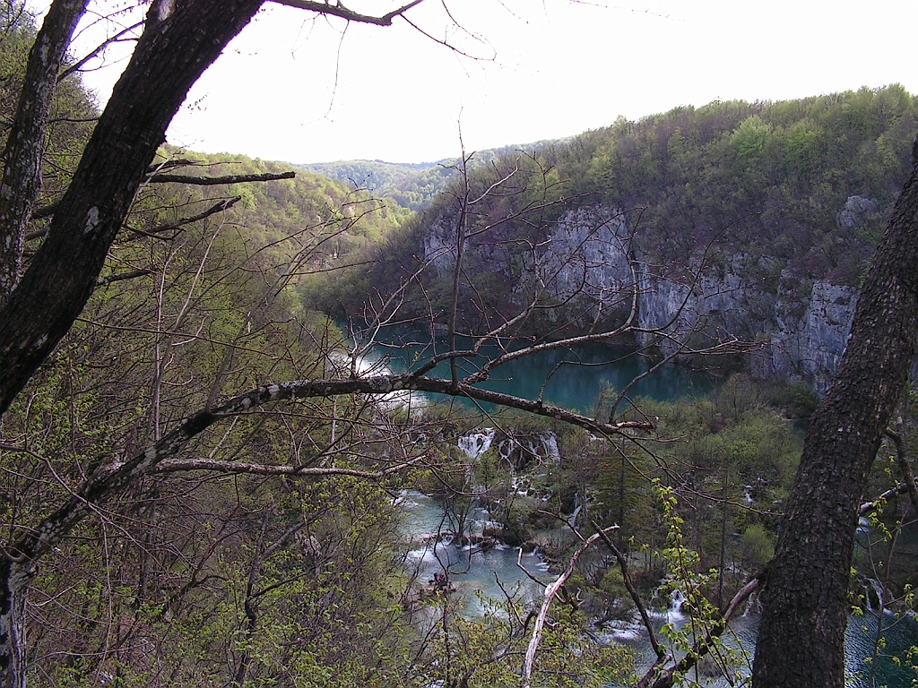 PICT0022.JPG