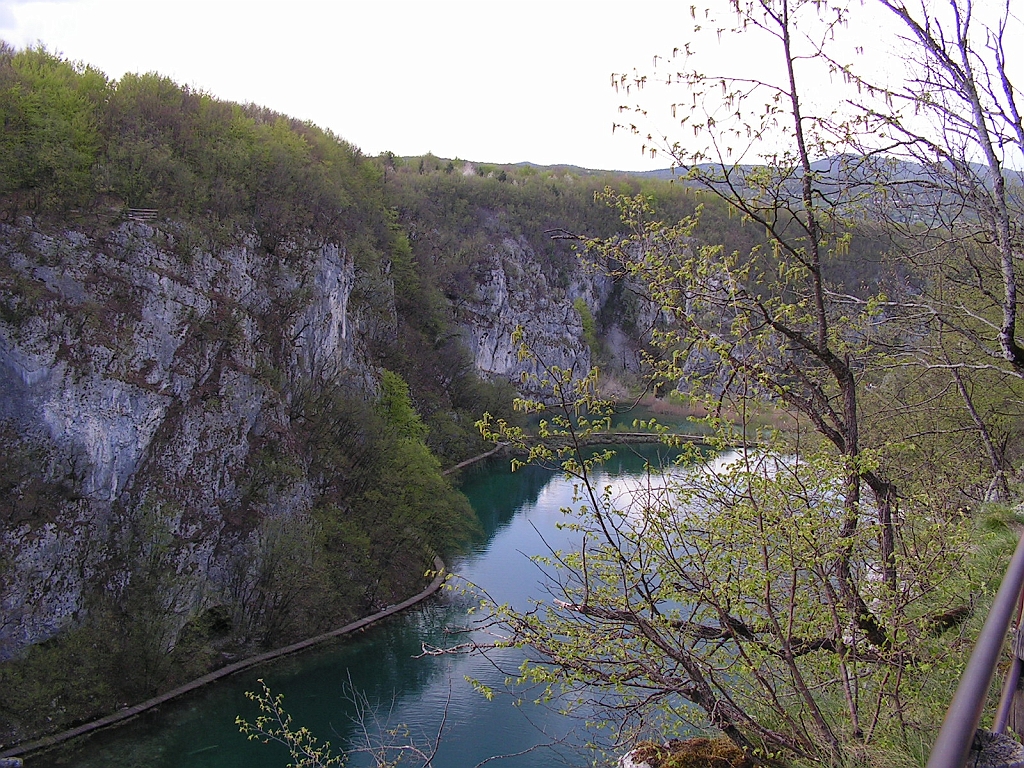 PICT0026.JPG